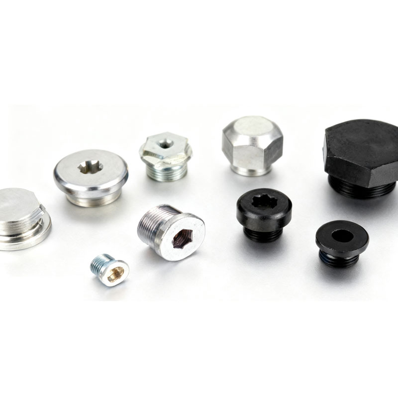 स्टेनलेस स्टील फ्ल्यान्ज प्लग